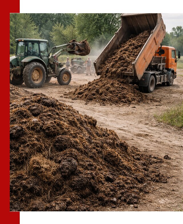 Доставка навоза самосвалами в Губахе для сельхозпотребностей
